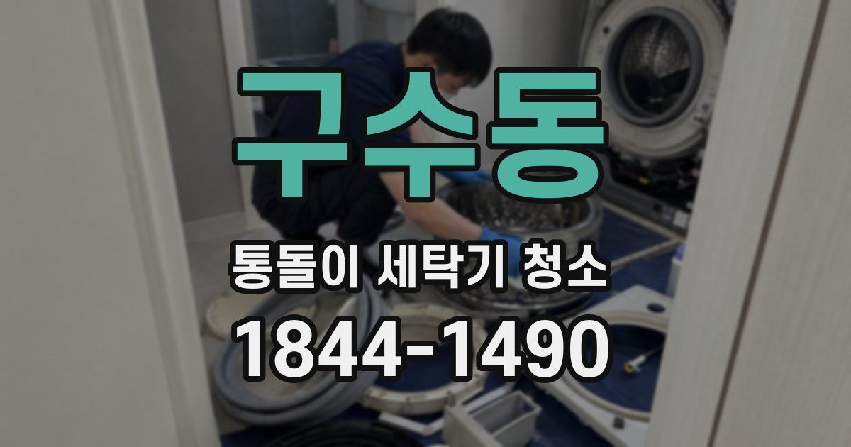 구수동 통돌이 세탁기 청소