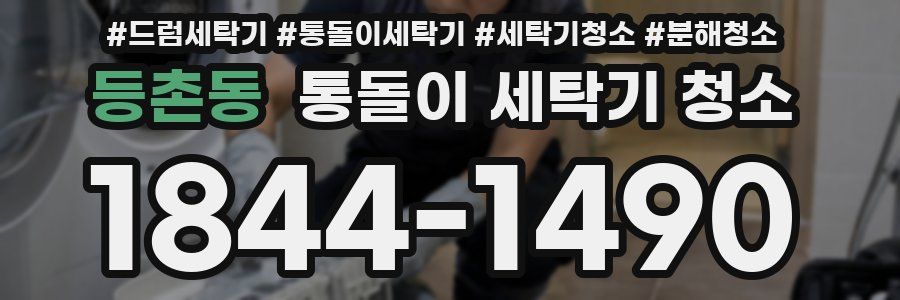 등촌동 통돌이 세탁기 청소