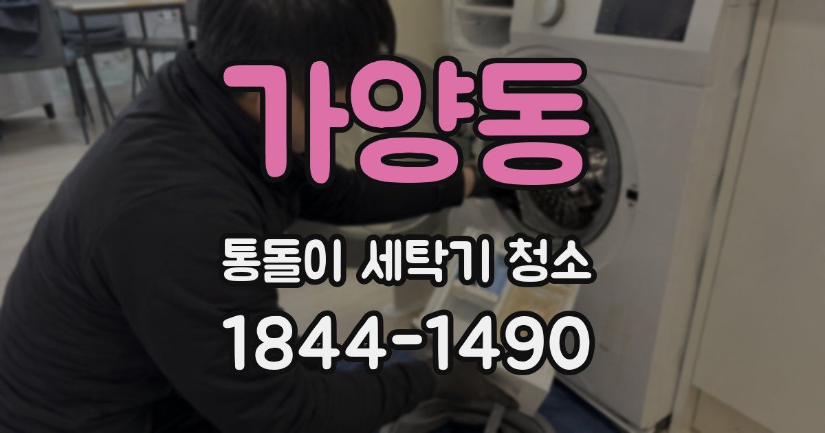 가양동 통돌이 세탁기 청소