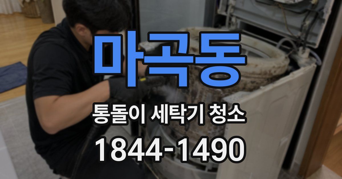 마곡동 통돌이 세탁기 청소