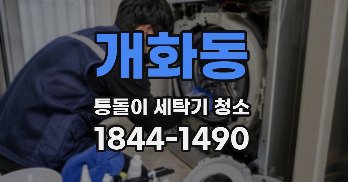 개화동 통돌이 세탁기 청소