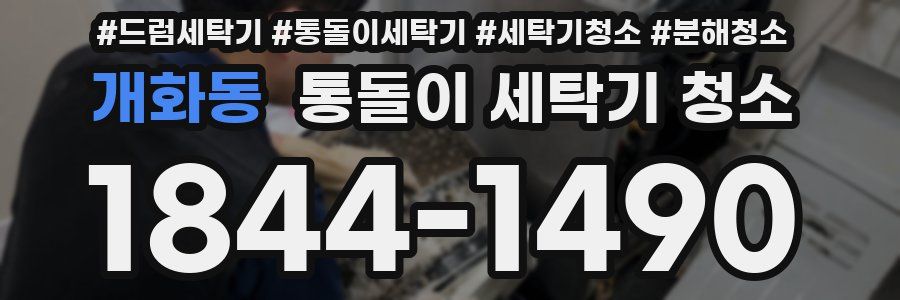 개화동 통돌이 세탁기 청소