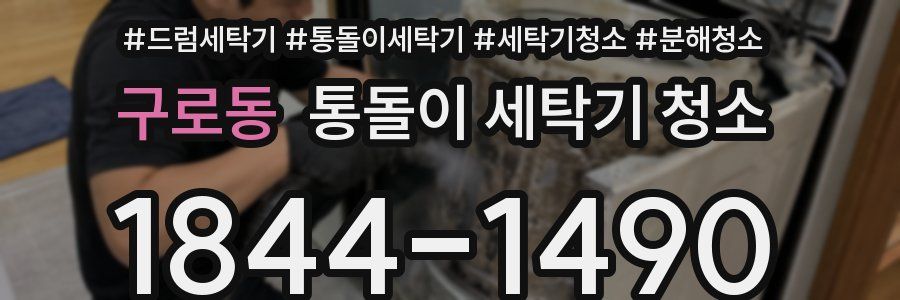 구로동 통돌이 세탁기 청소
