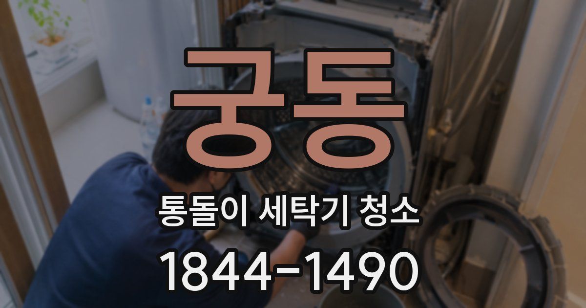 궁동 통돌이 세탁기 청소