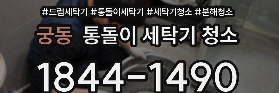 궁동 통돌이 세탁기 청소