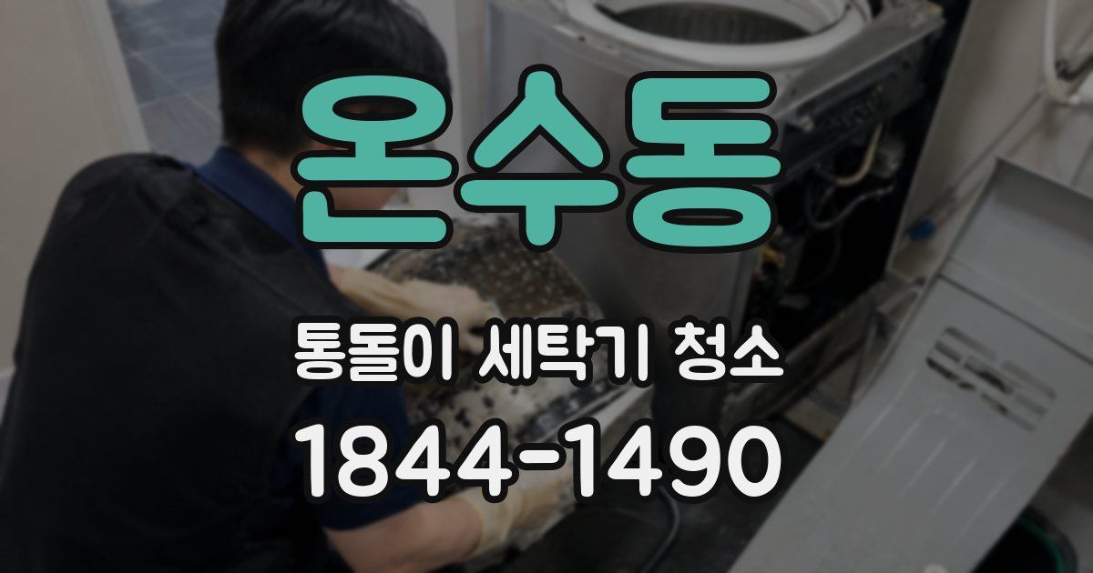 온수동 통돌이 세탁기 청소