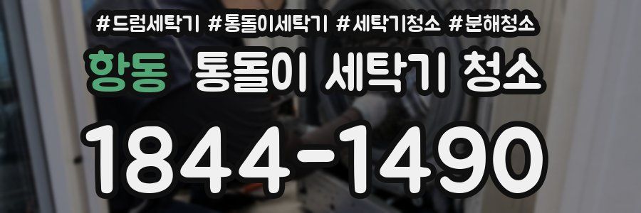 항동 통돌이 세탁기 청소