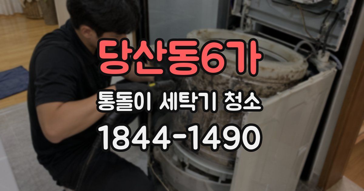 당산동6가 통돌이 세탁기 청소