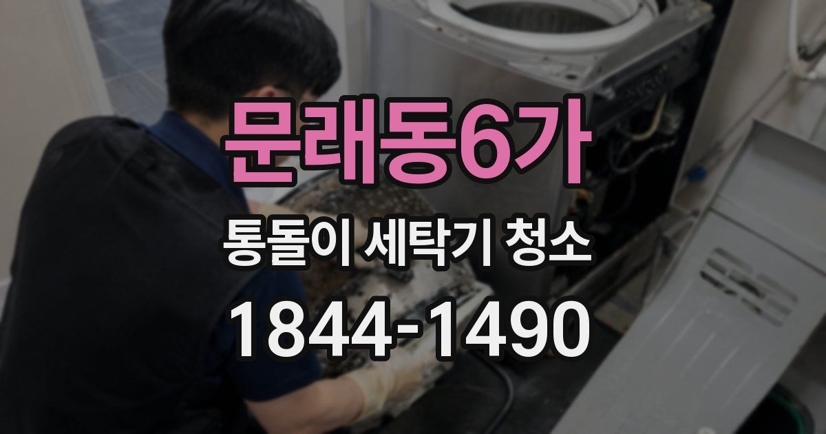문래동6가 통돌이 세탁기 청소