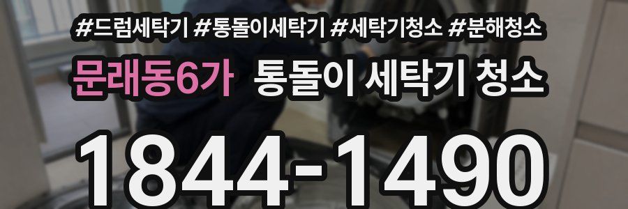 문래동6가 통돌이 세탁기 청소