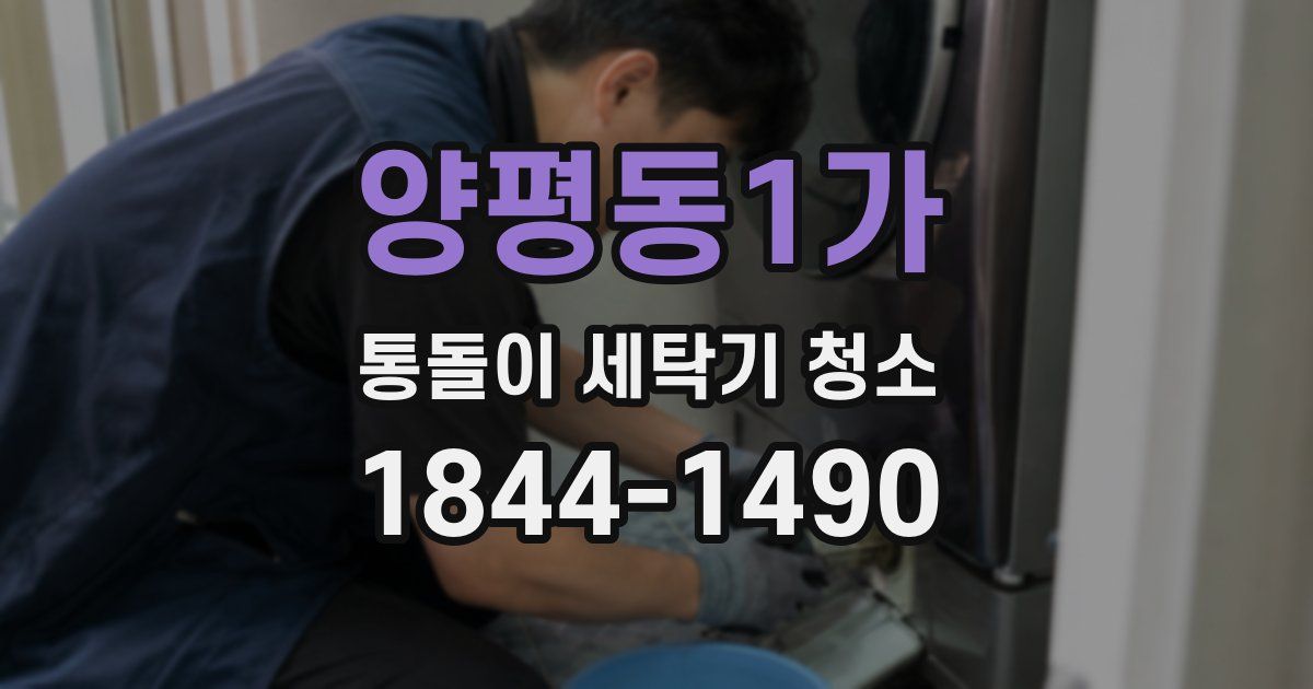 양평동1가 통돌이 세탁기 청소