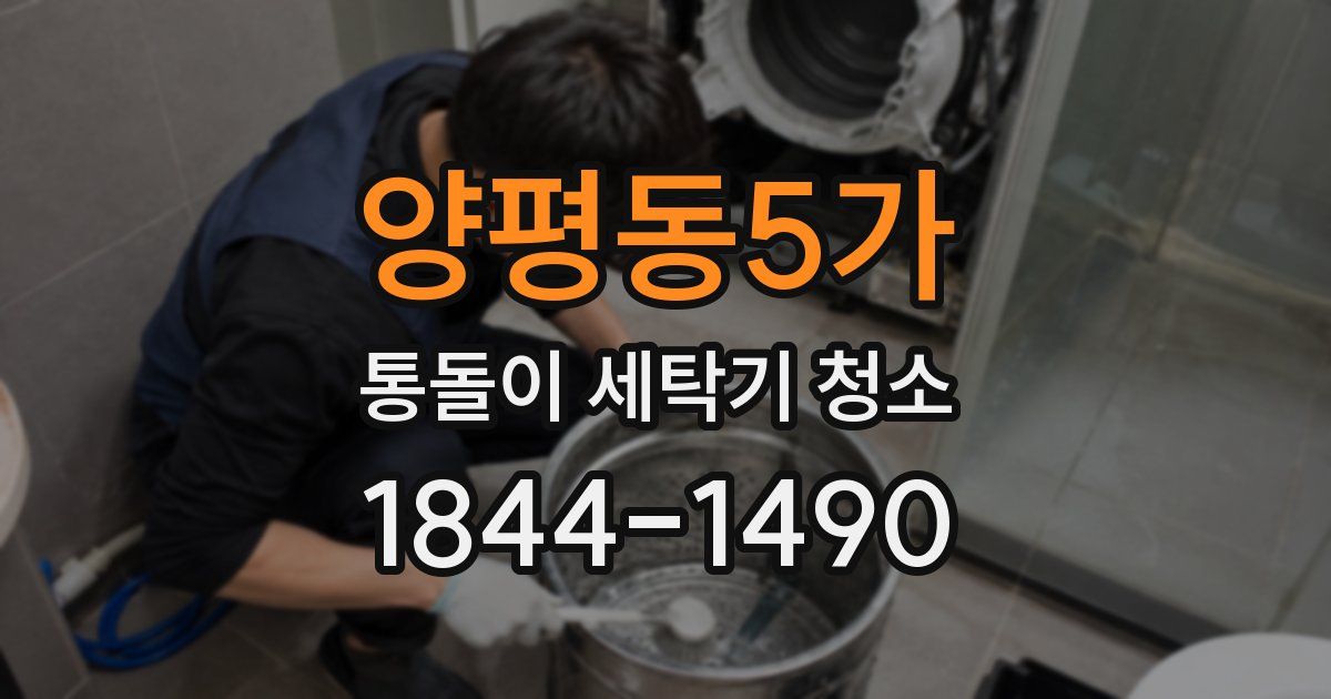 양평동5가 통돌이 세탁기 청소