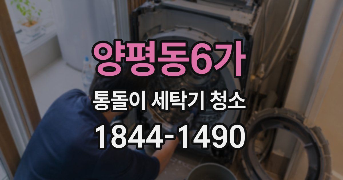 양평동6가 통돌이 세탁기 청소
