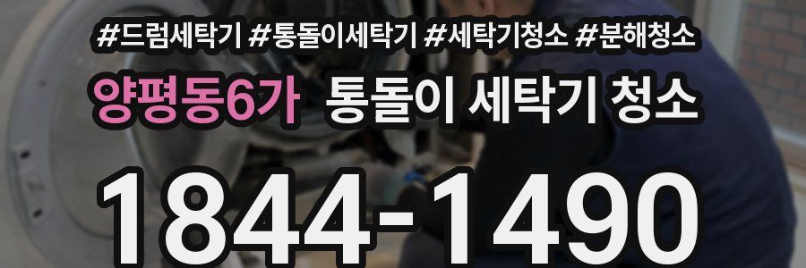 양평동6가 통돌이 세탁기 청소