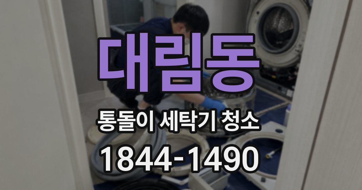 대림동 통돌이 세탁기 청소