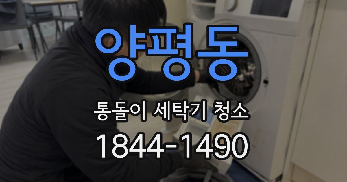 양평동 통돌이 세탁기 청소