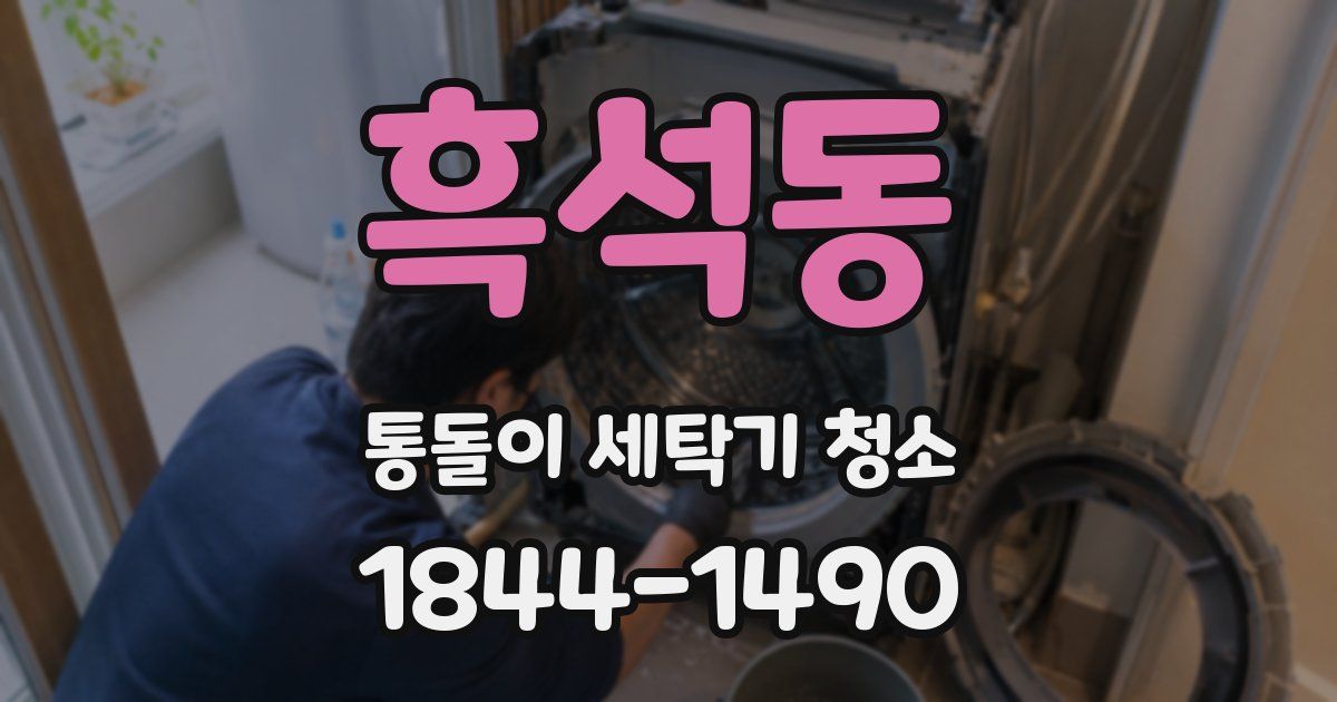 흑석동 통돌이 세탁기 청소