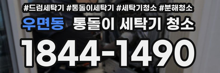 우면동 통돌이 세탁기 청소