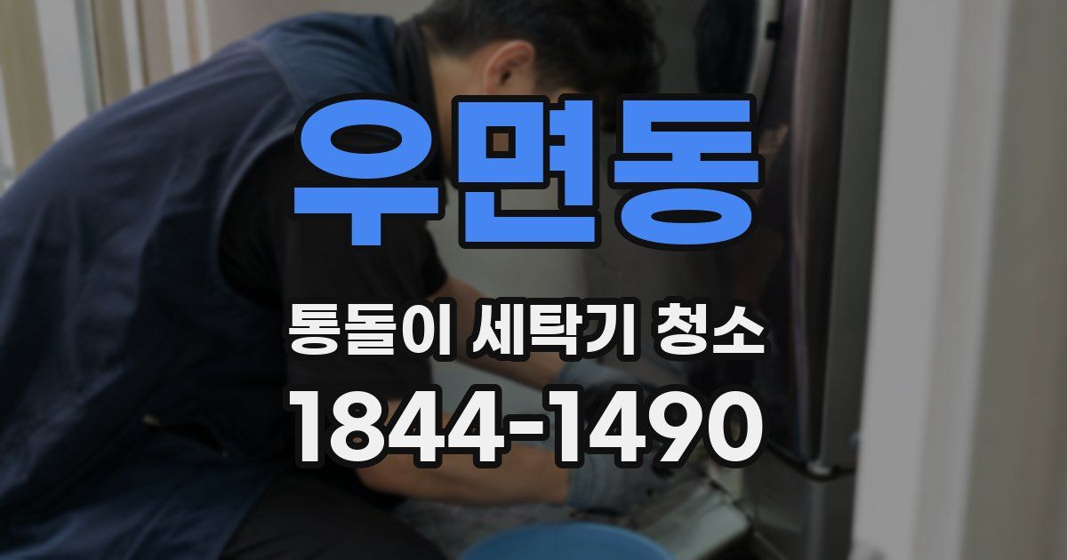 우면동 통돌이 세탁기 청소