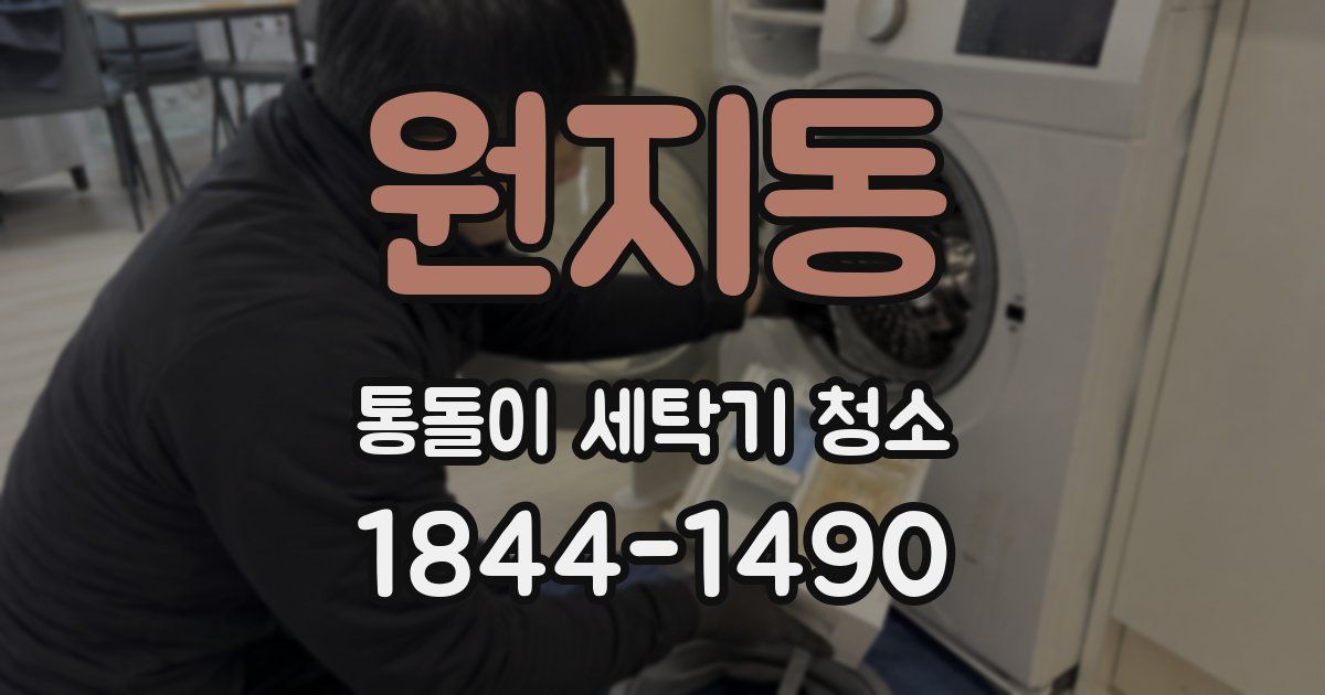 원지동 통돌이 세탁기 청소