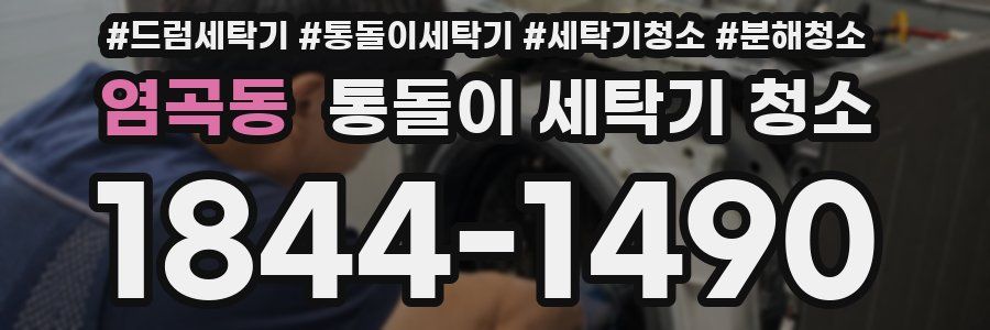 염곡동 통돌이 세탁기 청소