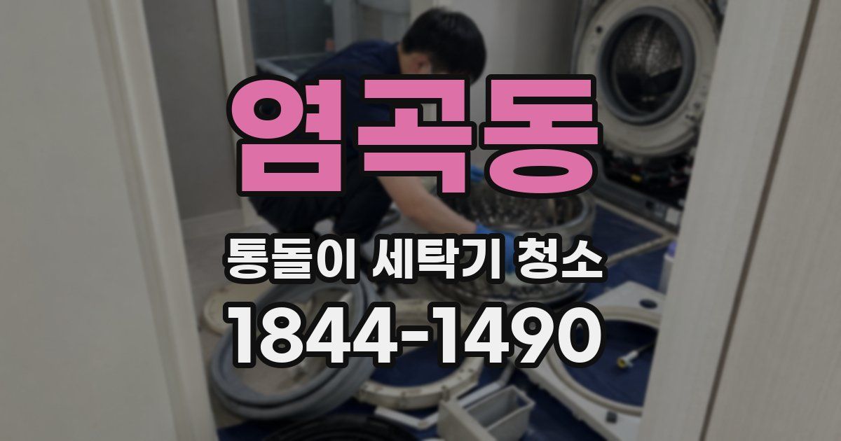 염곡동 통돌이 세탁기 청소