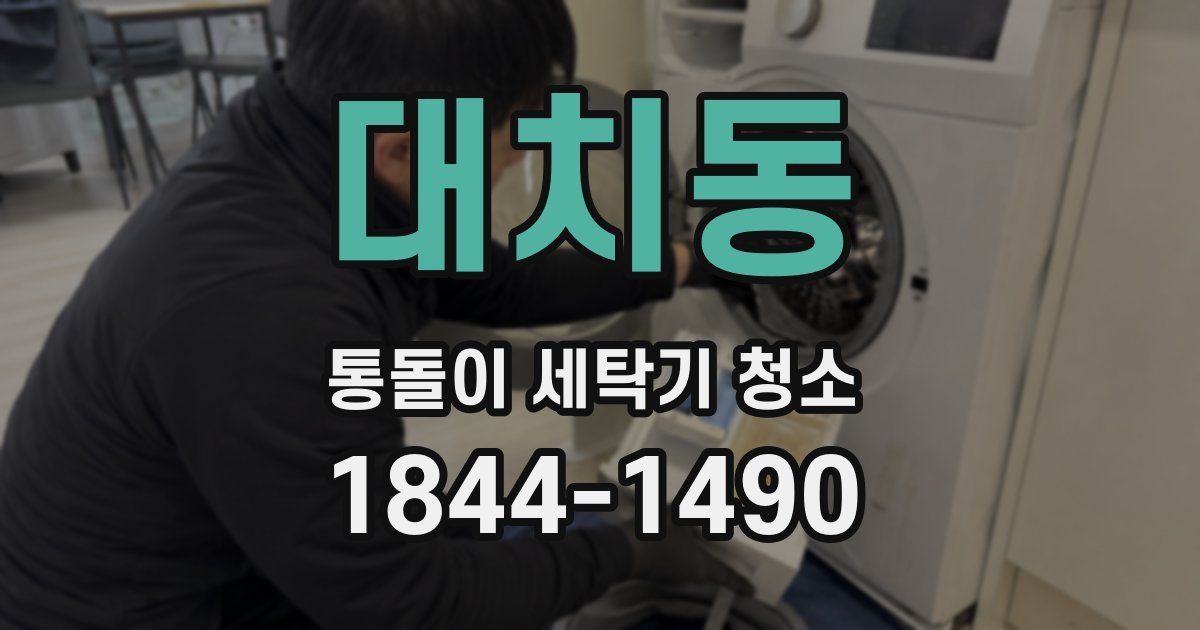 대치동 통돌이 세탁기 청소