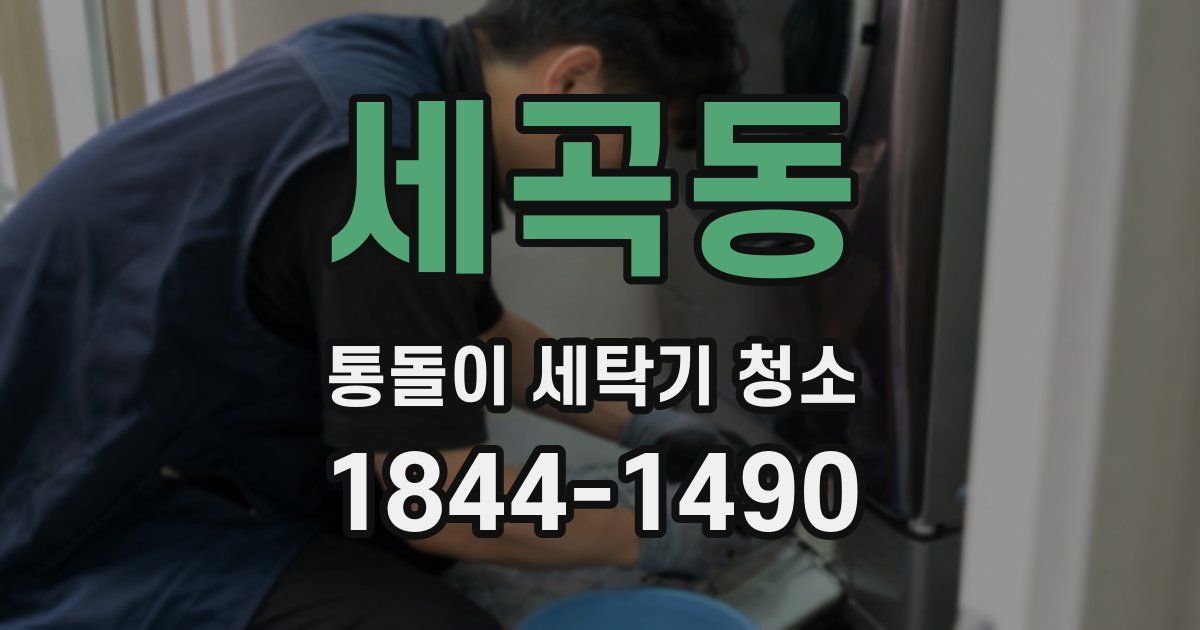 세곡동 통돌이 세탁기 청소