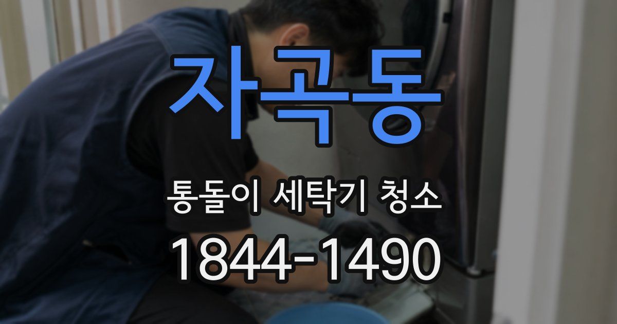자곡동 통돌이 세탁기 청소