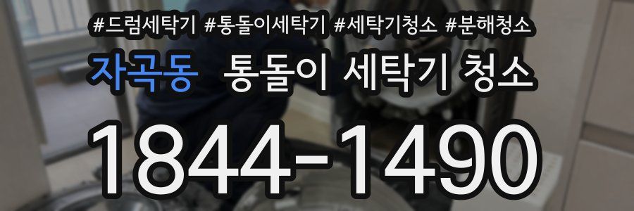자곡동 통돌이 세탁기 청소