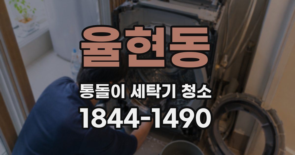 율현동 통돌이 세탁기 청소