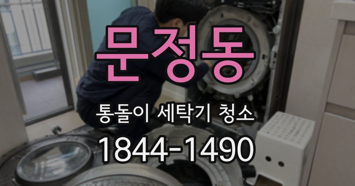 문정동 통돌이 세탁기 청소