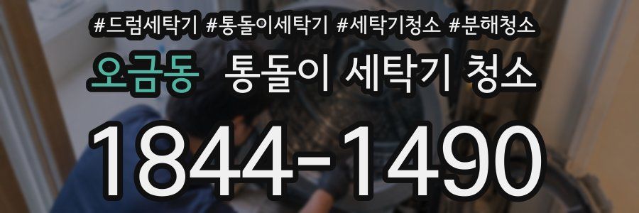 오금동 통돌이 세탁기 청소