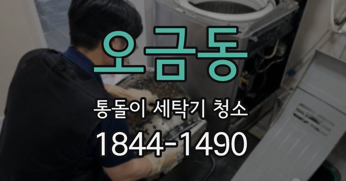 오금동 통돌이 세탁기 청소