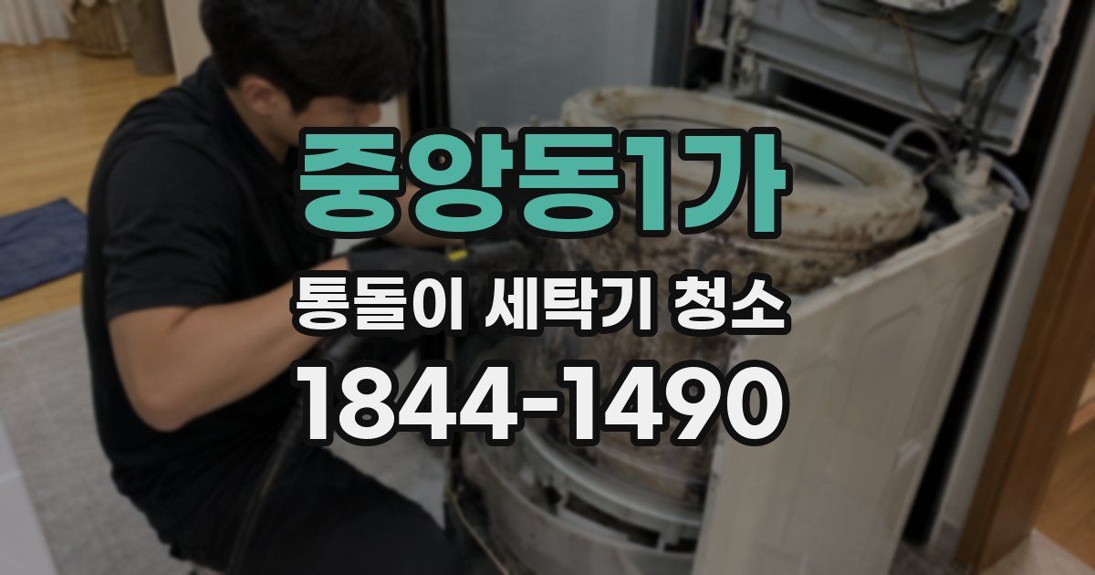 중앙동1가 통돌이 세탁기 청소