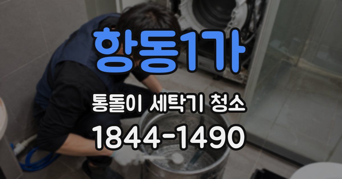 항동1가 통돌이 세탁기 청소