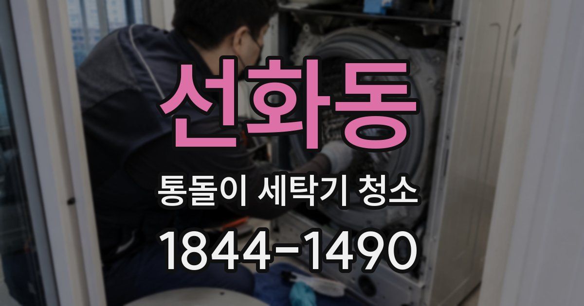 선화동 통돌이 세탁기 청소