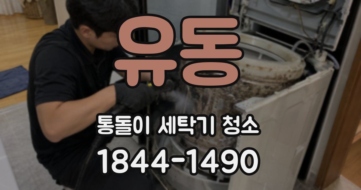 유동 통돌이 세탁기 청소