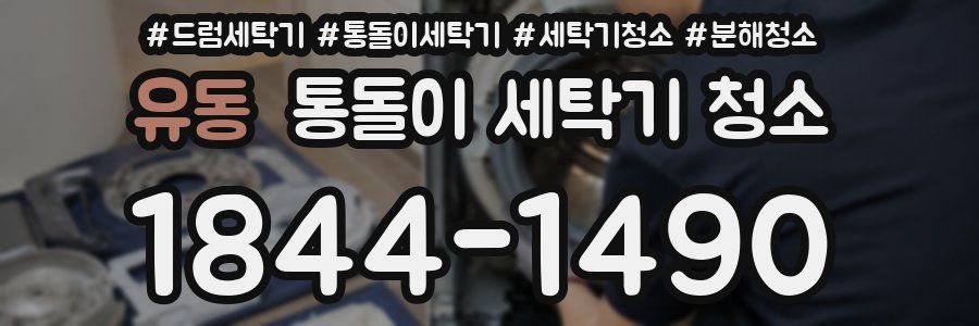 유동 통돌이 세탁기 청소