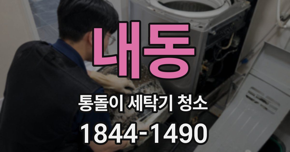 내동 통돌이 세탁기 청소