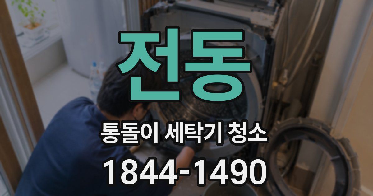 전동 통돌이 세탁기 청소