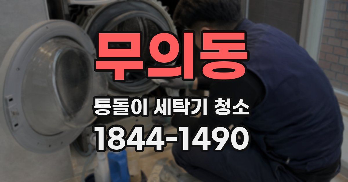 무의동 통돌이 세탁기 청소