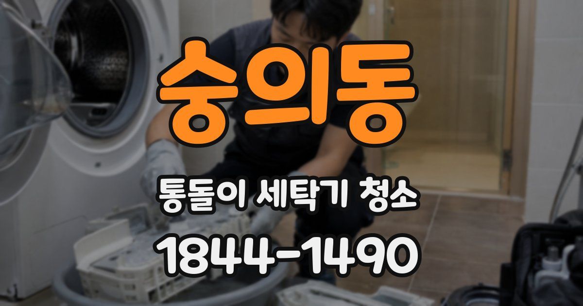 숭의동 통돌이 세탁기 청소