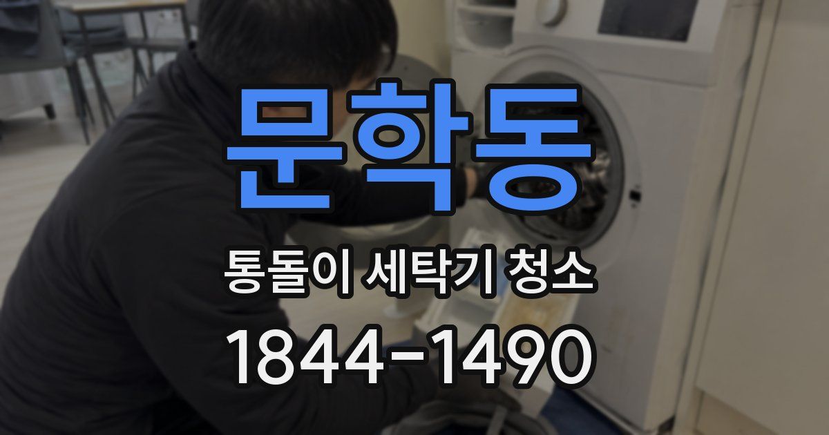 문학동 통돌이 세탁기 청소
