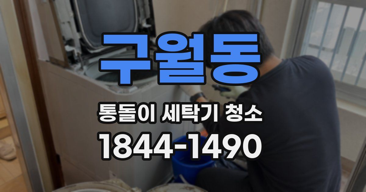 구월동 통돌이 세탁기 청소