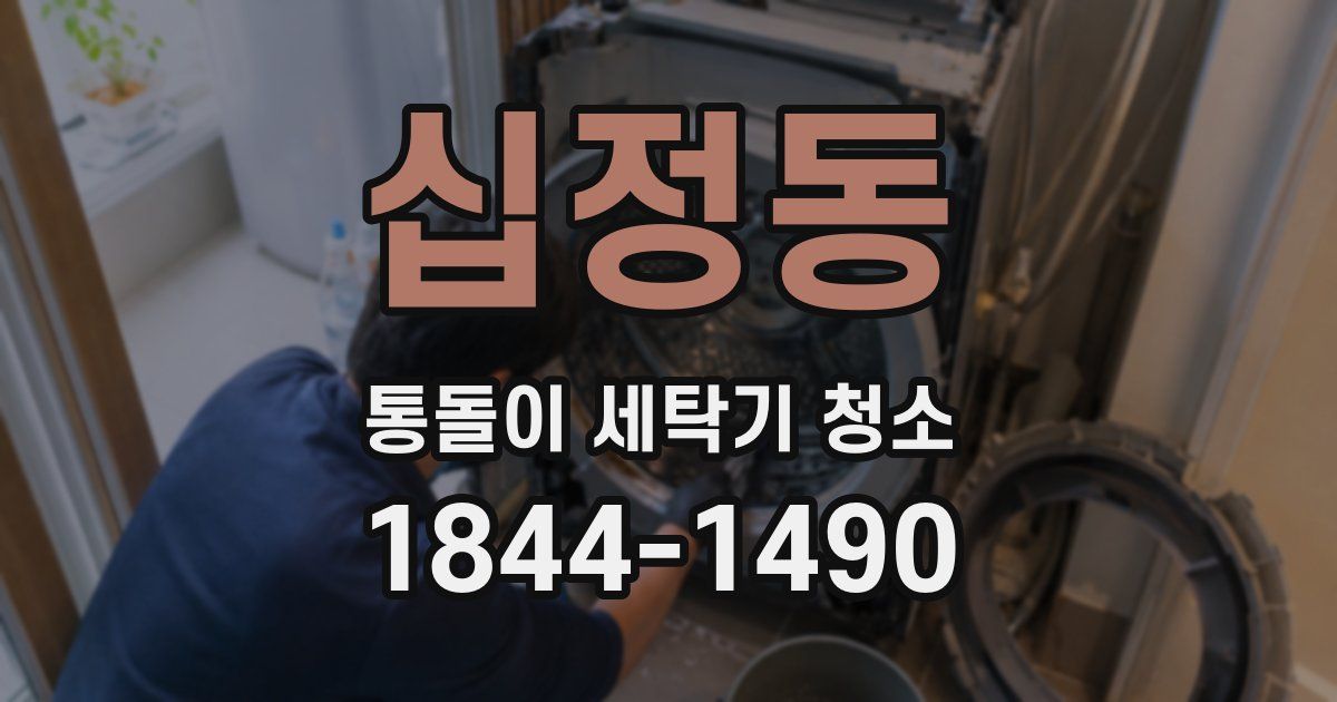십정동 통돌이 세탁기 청소
