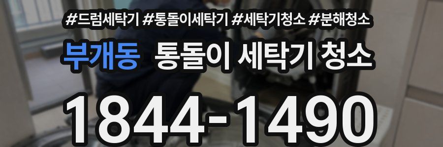 부개동 통돌이 세탁기 청소