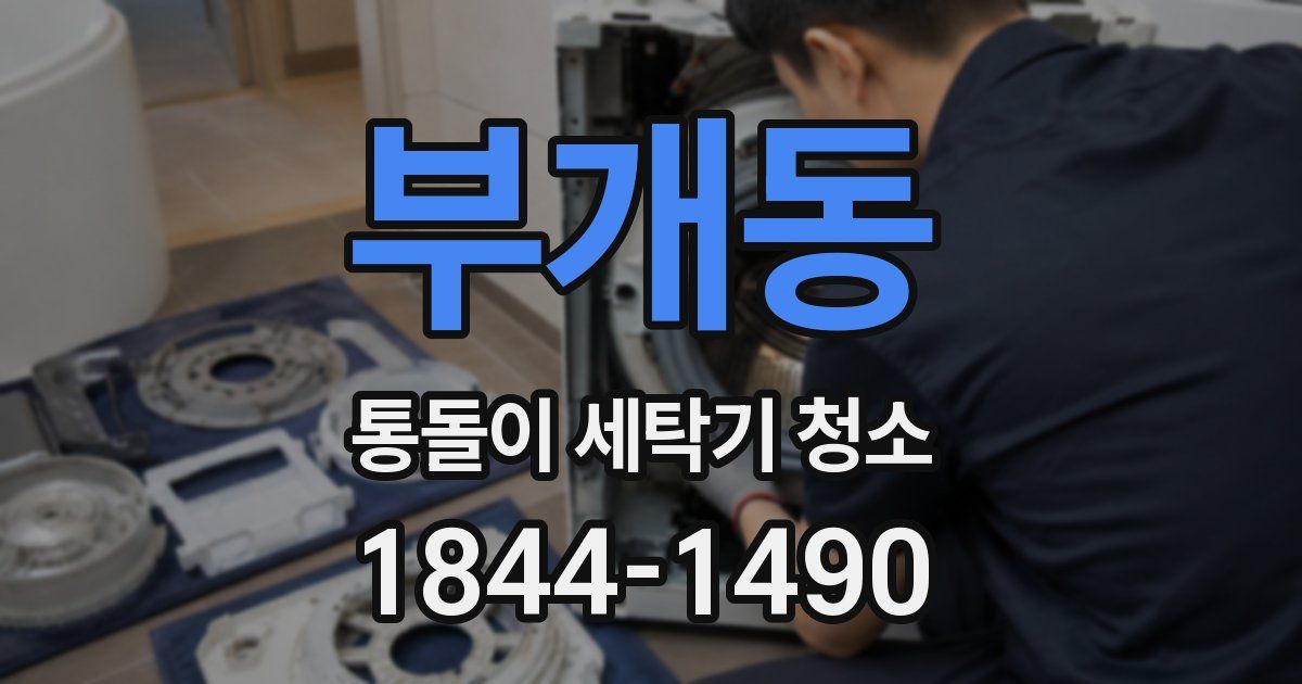 부개동 통돌이 세탁기 청소