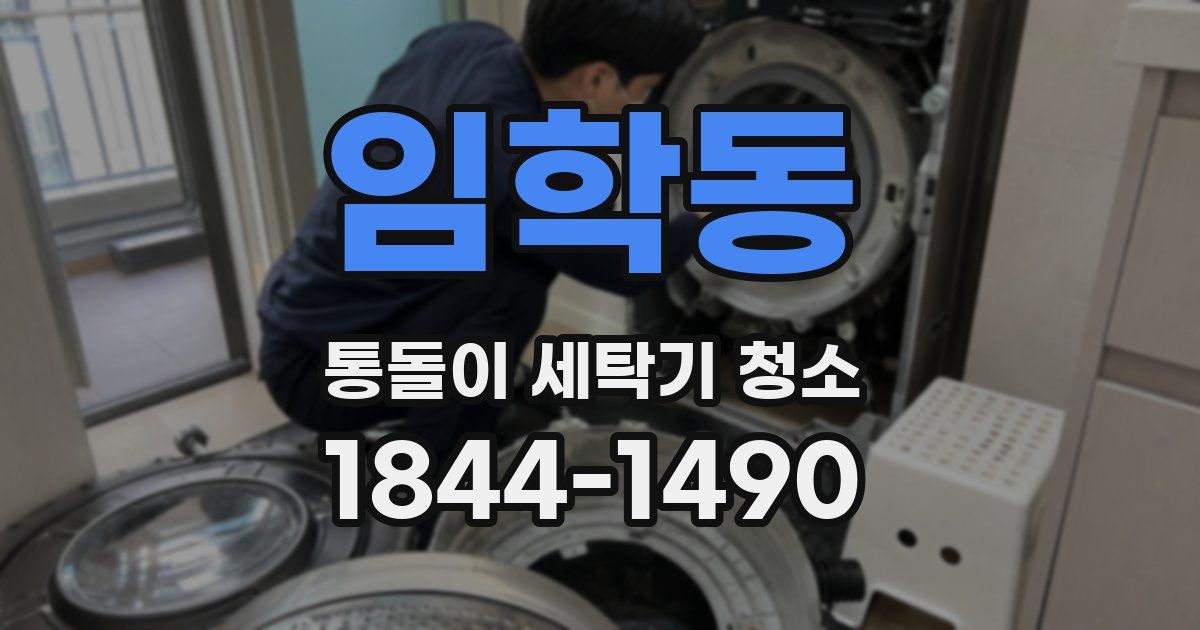 임학동 통돌이 세탁기 청소