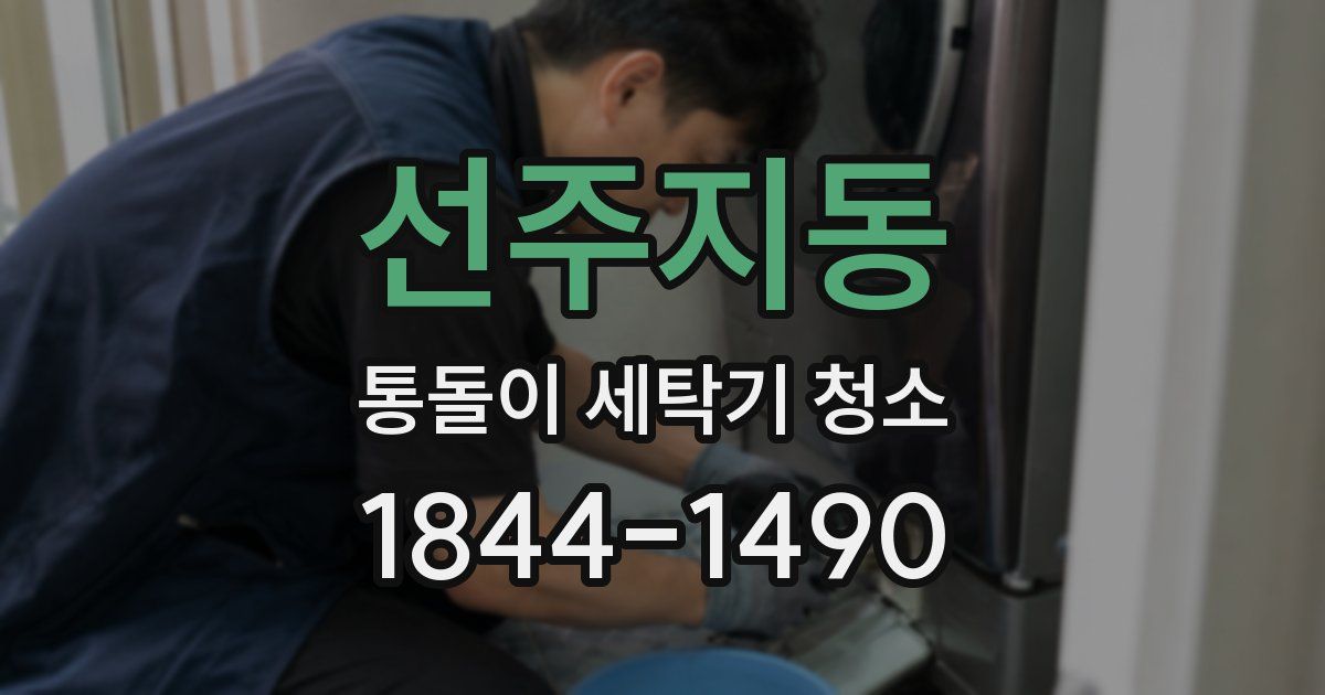 선주지동 통돌이 세탁기 청소